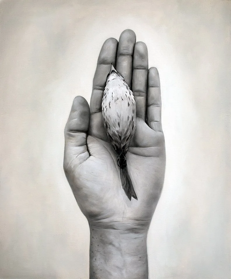 In the Palm of Your Hand' — CAROLINE FAY